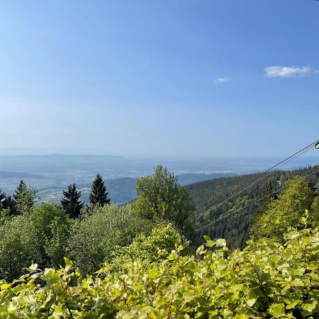 Neue Ferienwohnung Mit Whirlpool Und Sauna In Der Residenz Grafenmatt Inklusive Hochschwarzwaldcard Feldberg  Buitenkant foto