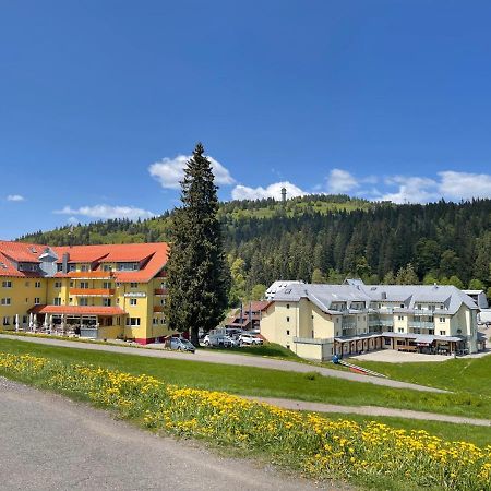 Neue Ferienwohnung Mit Whirlpool Und Sauna In Der Residenz Grafenmatt Inklusive Hochschwarzwaldcard Feldberg  Buitenkant foto