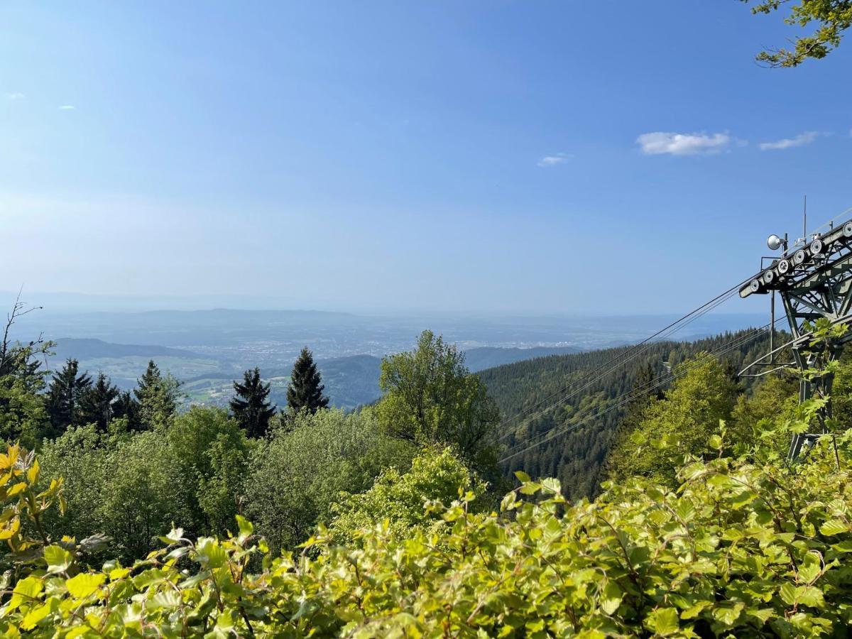 Neue Ferienwohnung Mit Whirlpool Und Sauna In Der Residenz Grafenmatt Inklusive Hochschwarzwaldcard Feldberg  Buitenkant foto