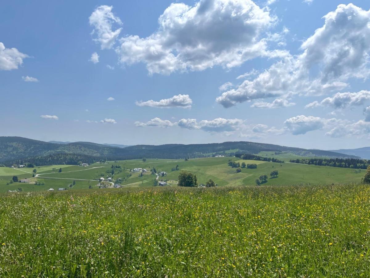 Neue Ferienwohnung Mit Whirlpool Und Sauna In Der Residenz Grafenmatt Inklusive Hochschwarzwaldcard Feldberg  Buitenkant foto